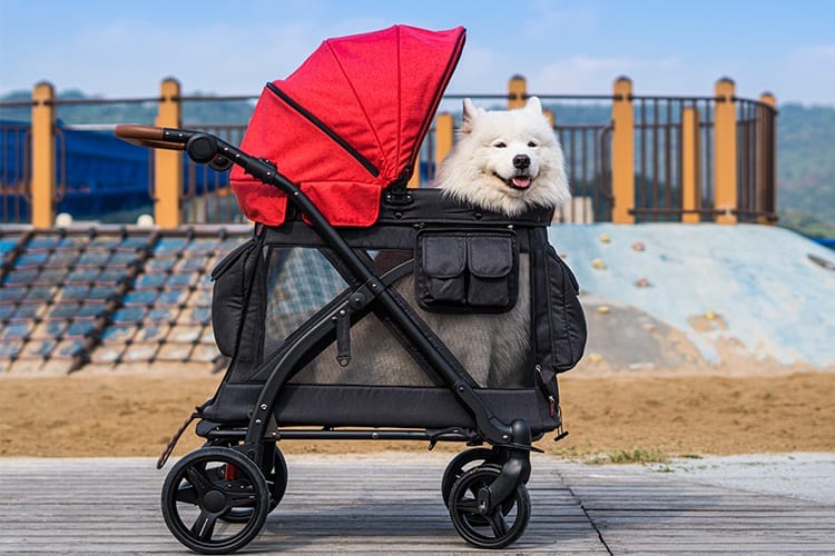 Complete Guide About The Best Animal Stroller