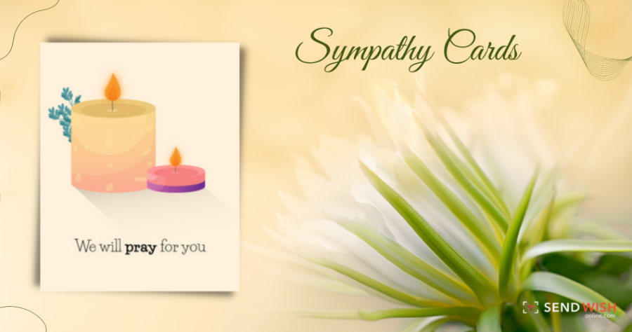 Title: Embracing Empathy: The Power of Sympathy Cards in Times of Grief