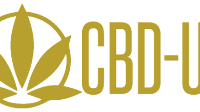 Top-Rated UK CBD Balms for Pain and Inflammation