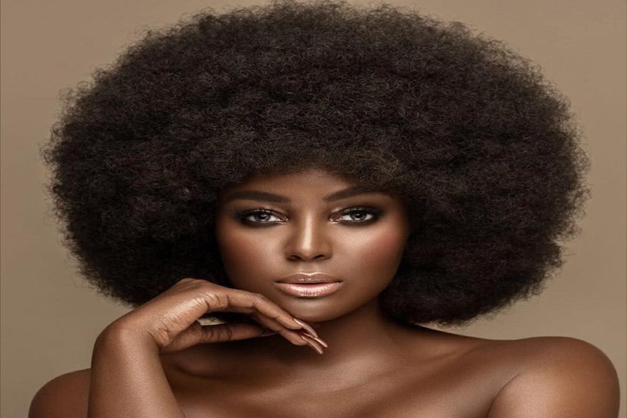 Amara La Negra Net Worth 2024 How Much Is Her Worth?